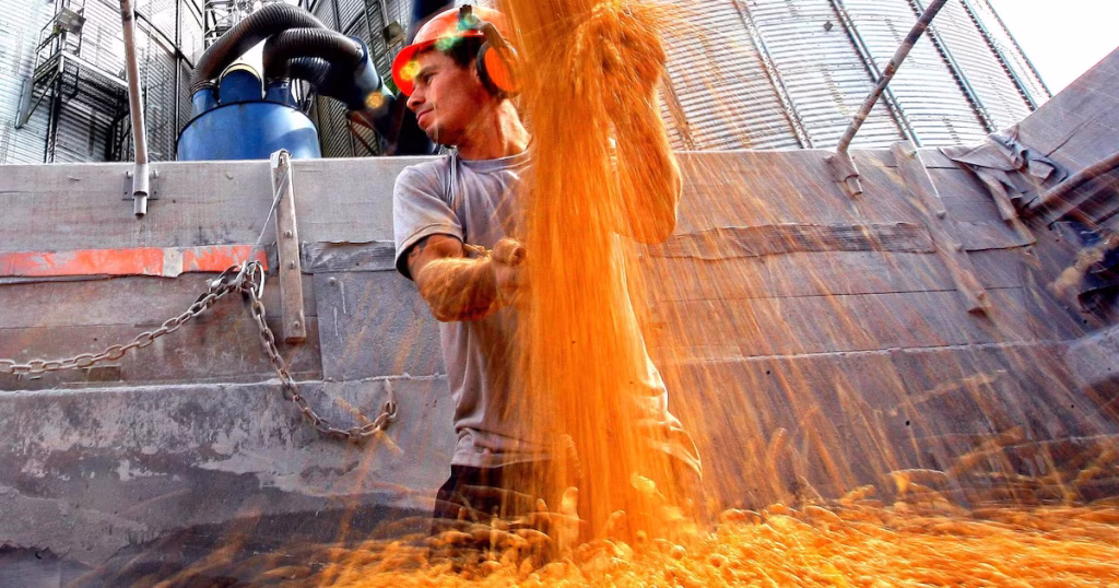 Agronegócio: De Recordes em 2025 à Estagnação em 2026 com Queda na Produtividade