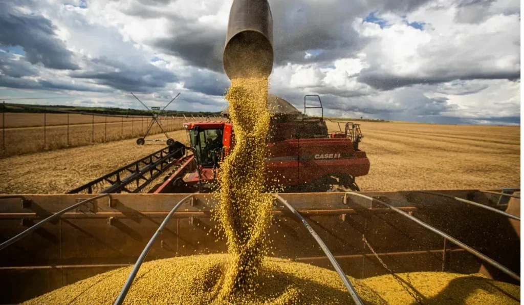 Agronegócio: De Recordes em 2025 a Estagnação em 2026 - Entenda as Projeções