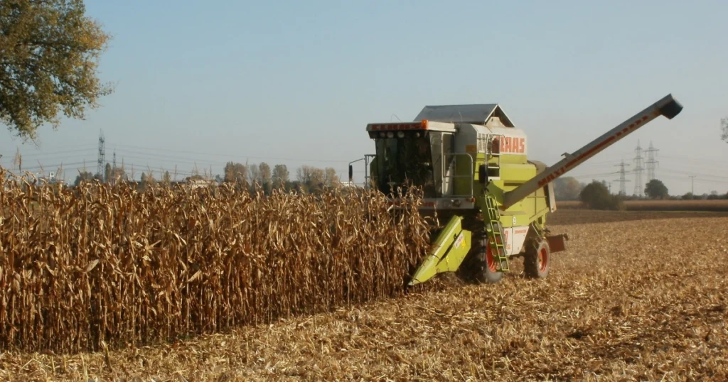 CMN Prorroga Regras Ambientais para Crédito Rural: O Que Isso Significa?