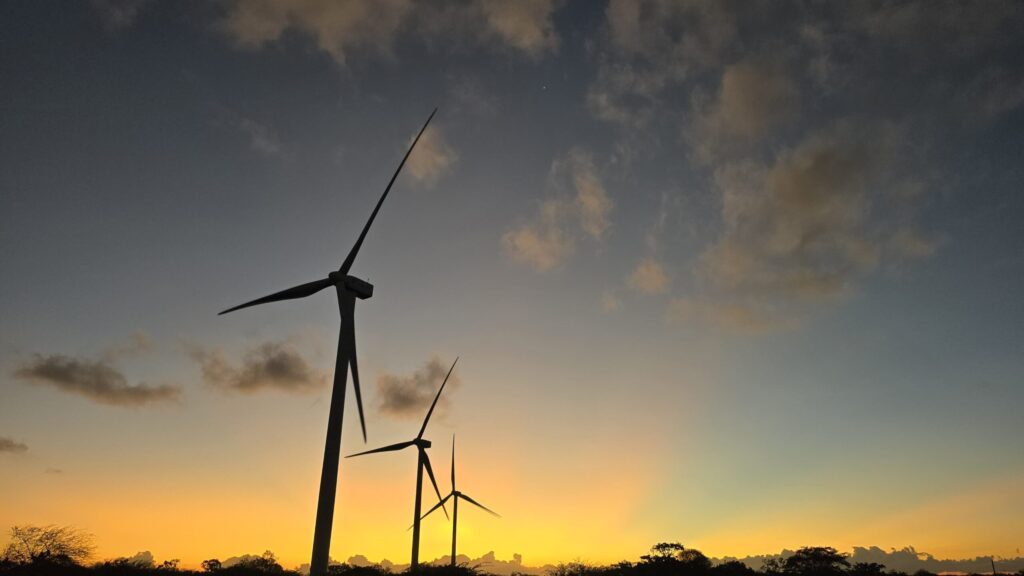 “Filho do Vento”: Explorando Impactos Culturais da Energia Eólica no Nordeste