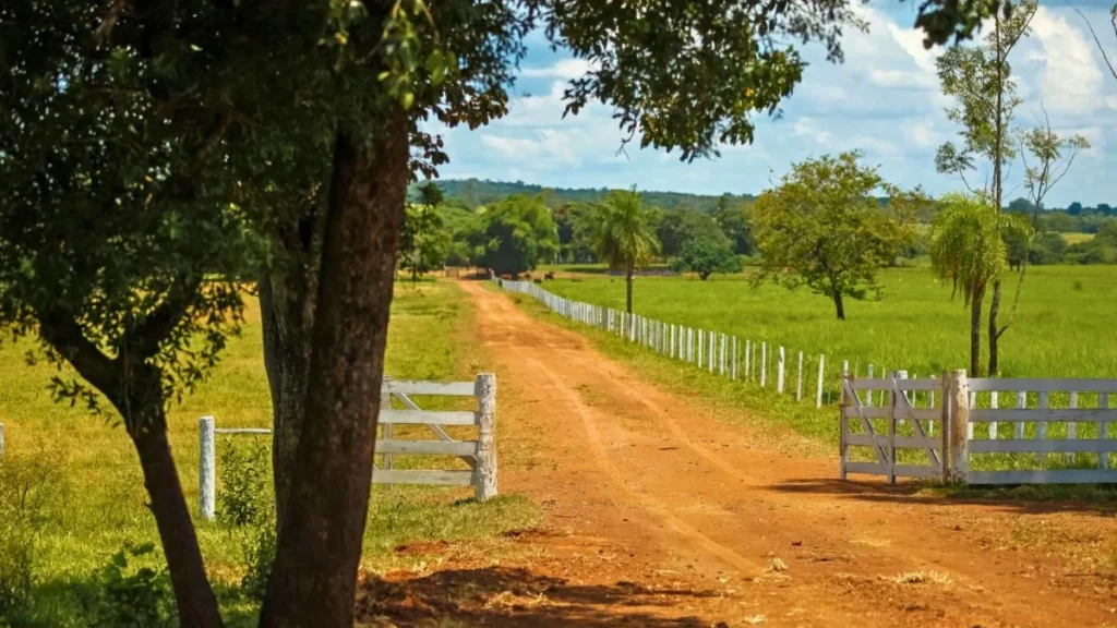 Recuperação Judicial e Crédito no Agronegócio: Desafios e Oportunidades em 2025