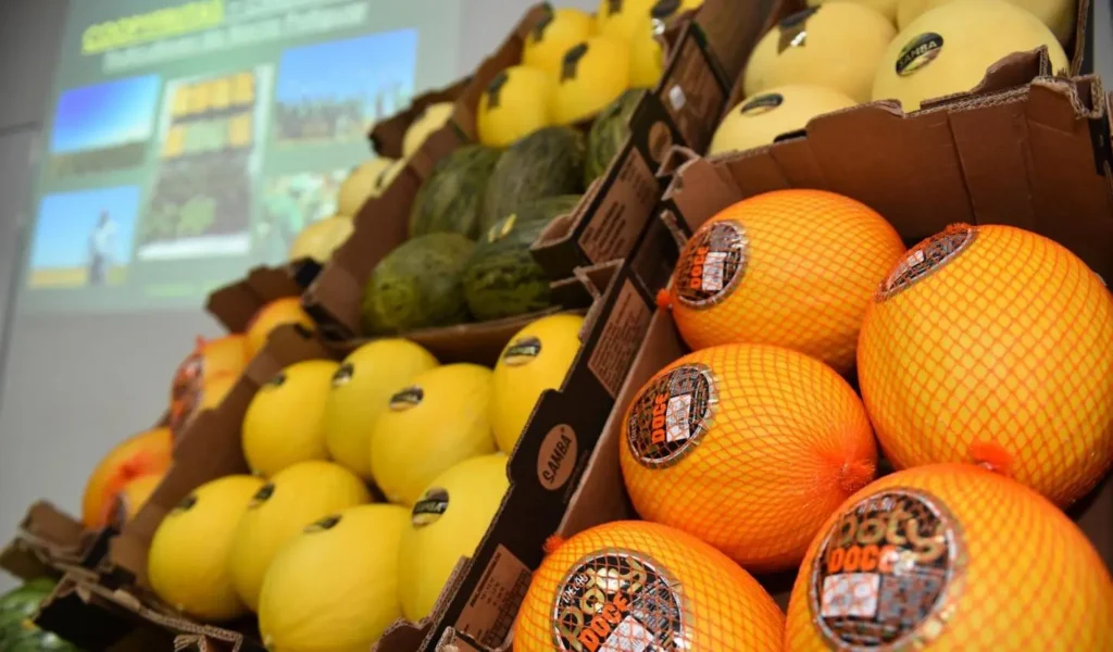 Rio Grande do Norte e União Europeia: Um Elo Comercial em Crescimento