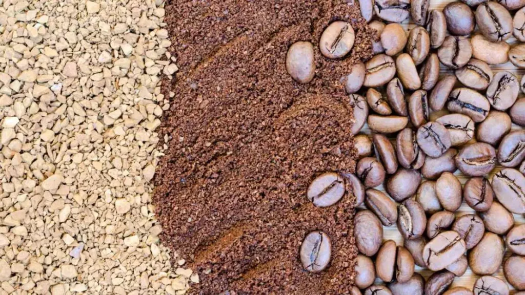 Acordo Mercosul e União Europeia: Oportunidades para o Agronegócio Brasileiro