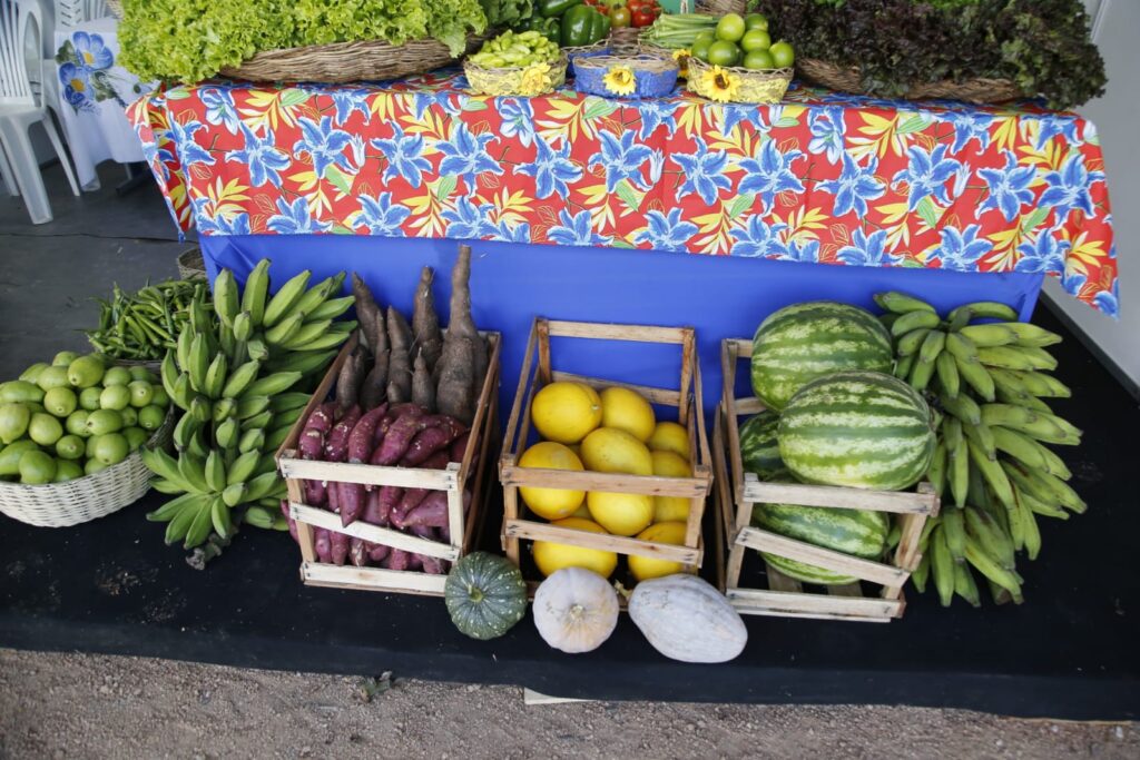 Circuito Estadual de Feiras do Agronegócio é aprovado em Sergipe