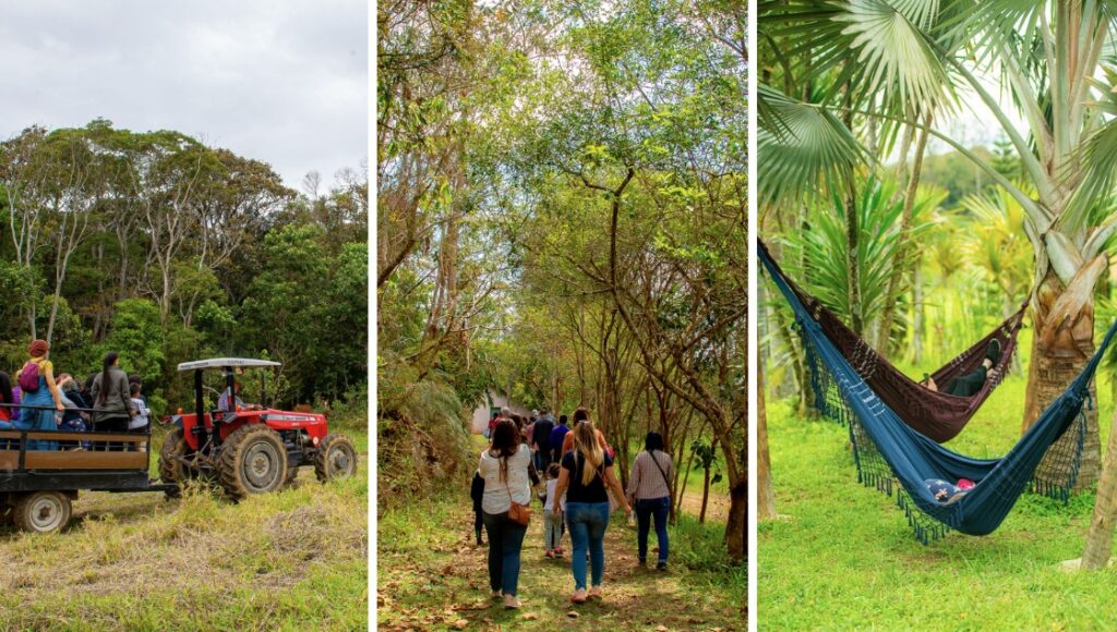 Como o SP Produz Impulsiona Sustentabilidade e Cultura em São Paulo