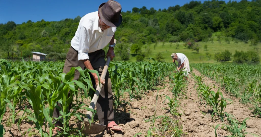 Desaceleração da Inadimplência no Agronegócio: Quadro do 3º Trimestre de 2025