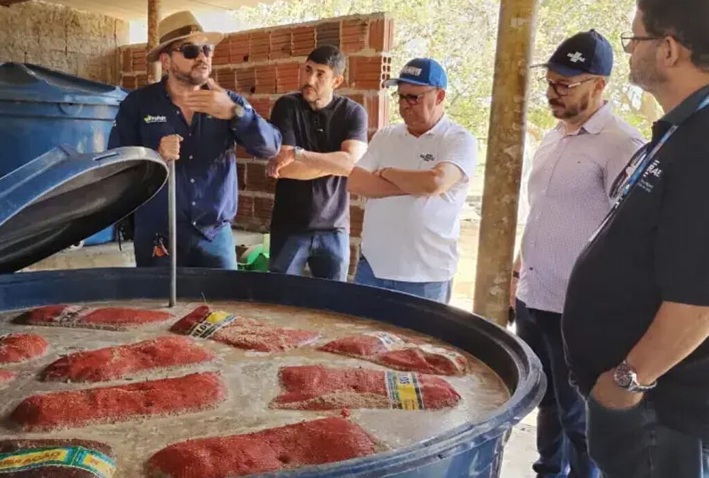 Expansão da Agricultura Regenerativa em 2026 Revolucionará a Fruticultura do RN