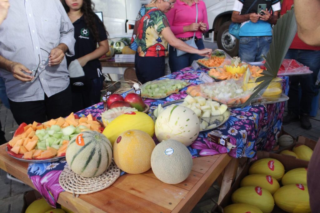 Exportações do RN Sofrem Queda de 4,9% em 2025, Revela Estudo da FIERN