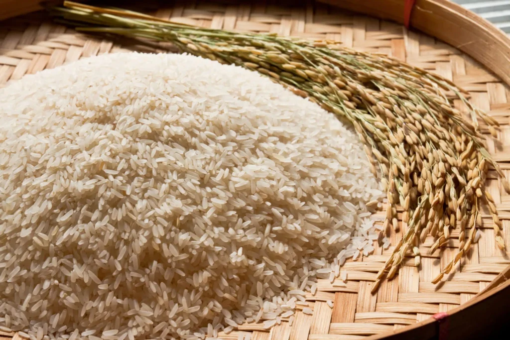 Produção de Arroz no Brasil e no Mundo Deve Cair em 2025/26 Após Nove Anos de Crescimento