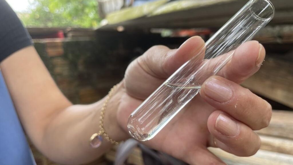 Aumento de Focos do Mosquito da Dengue em Rio Grande: Entenda a Situação