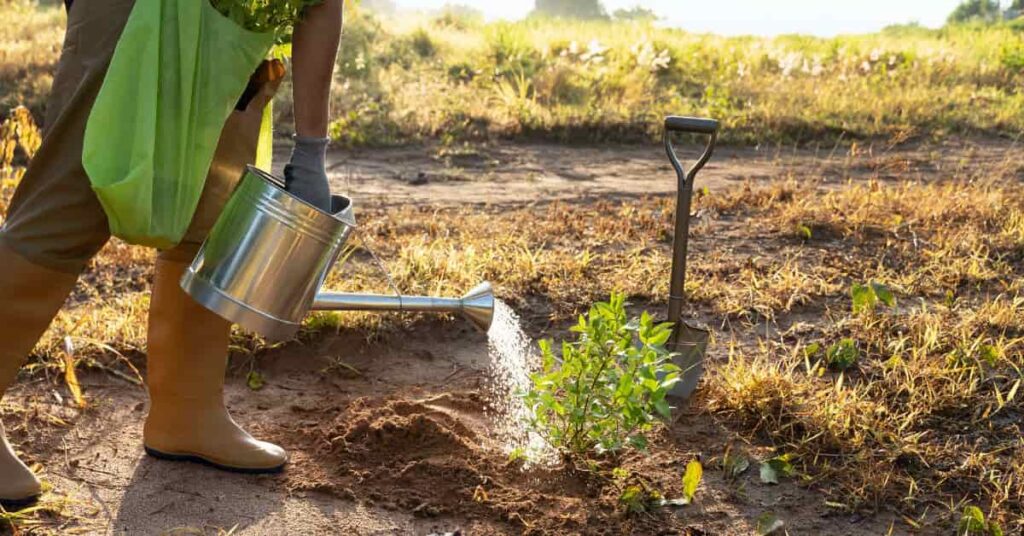 Aumento do Consumo de Água no Agronegócio: Desafios e Pressões Hídricas