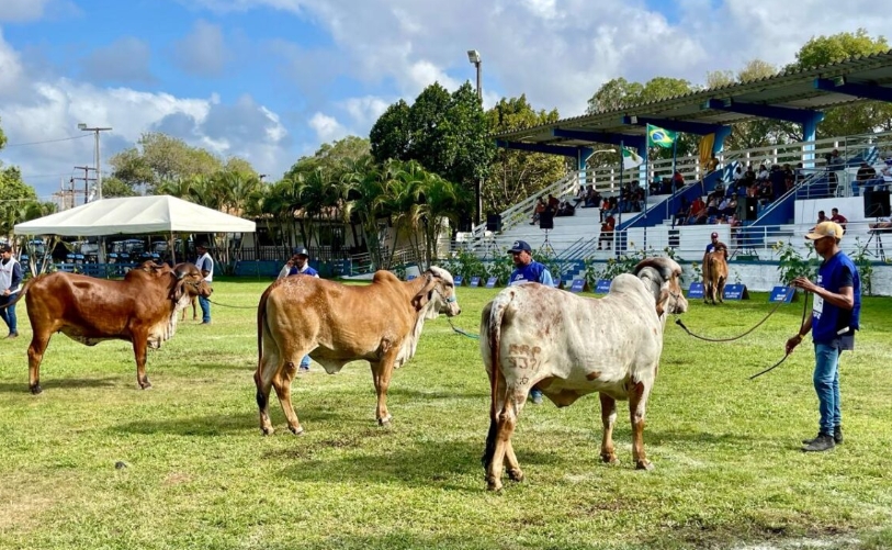 Calendário de Exposições Agropecuárias do RN para 2026: 51 Eventos Confirmados Calendário de Exposições Agropecuárias do RN para 2026: 51 Eventos Confirmados