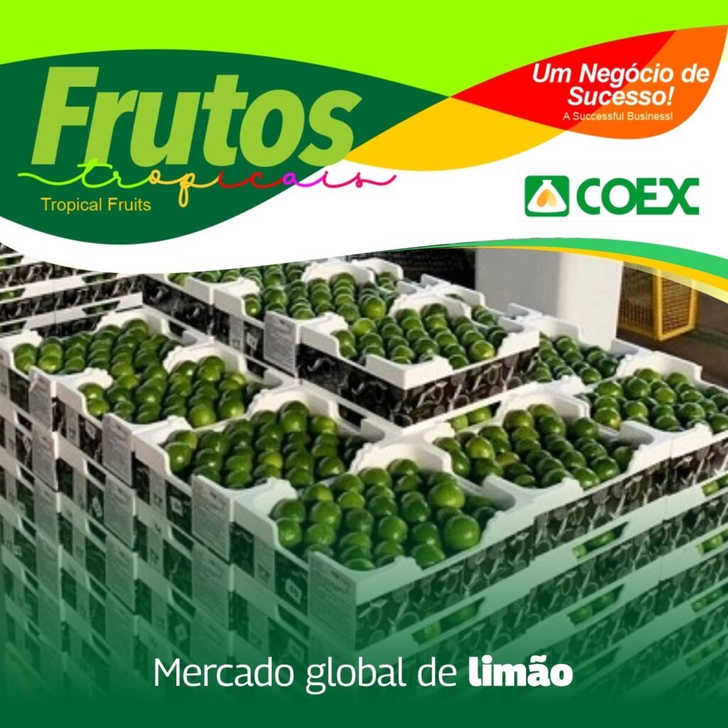 Crescimento Exponencial da Balança Comercial do RN em Uma Década