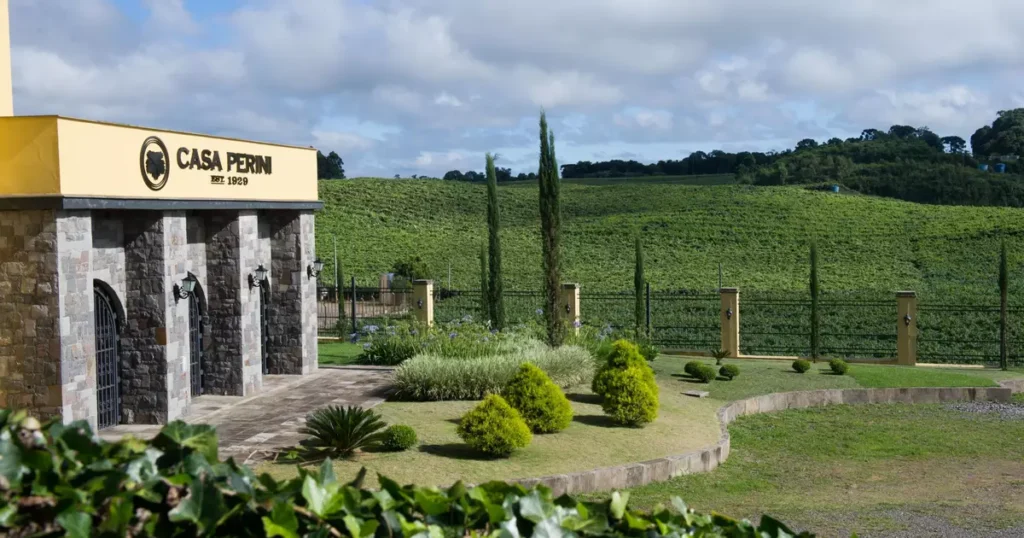 Imersão na Cultura da Colheita: Descubra a Saga da Uva na Casa Perini