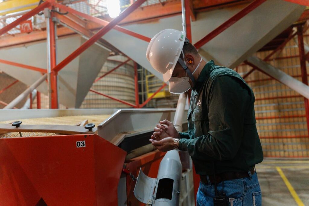 Indústria de Sementes Avança com Beneficiamento da Soja em Mato Grosso