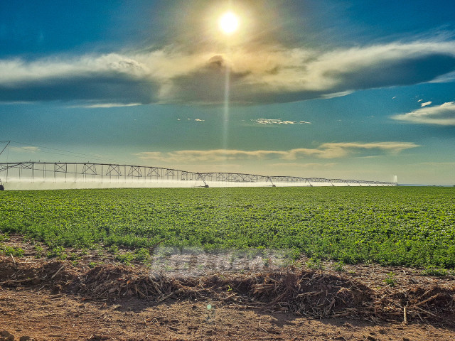 Investimentos em Renda Fixa e Agronegócio: Tendências para 2026 Investimentos em Renda Fixa e Agronegócio: Tendências para 2026