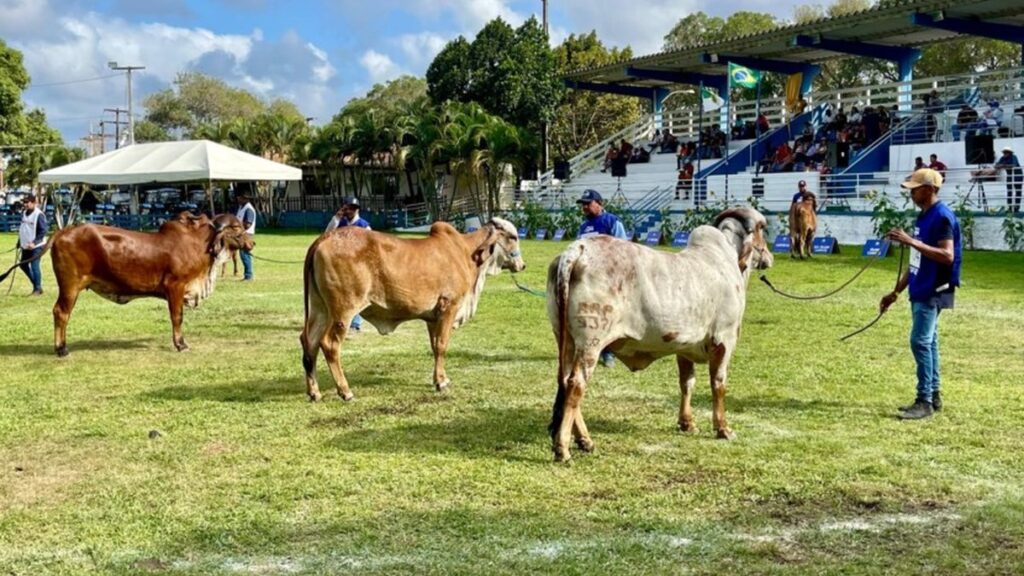 Rio Grande do Norte amplia eventos agropecuários em 2026: 51 encontros programados