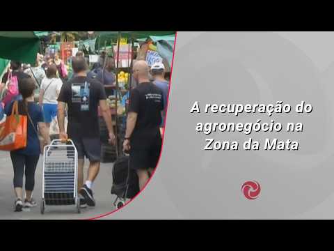 A Ascensão do Agronegócio na Zona da Mata: Um Futuro Promissor A Ascensão do Agronegócio na Zona da Mata: Um Futuro Promissor