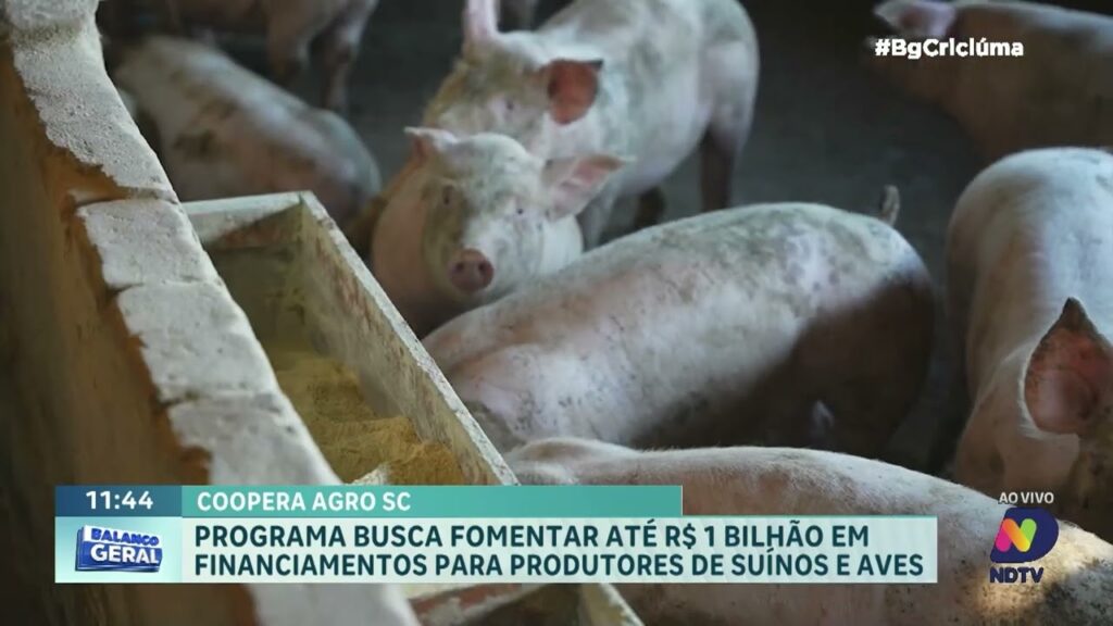 Coopera Agro SC: Programa Estadual Destina R$ 1 Bilhão ao Agronegócio