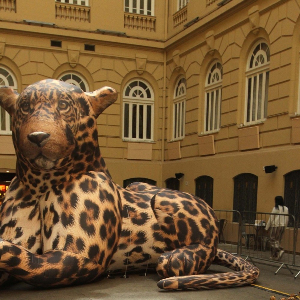 Exposição no CCBB-BH Revela como o Meme é Parte da Cultura Brasileira Exposição no CCBB-BH Revela como o Meme é Parte da Cultura Brasileira