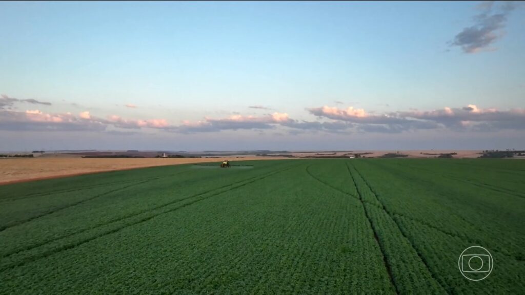 Guerra no Oriente Médio Eleva Preço de Fertilizantes e Gera Preocupação no Agronegócio Brasileiro