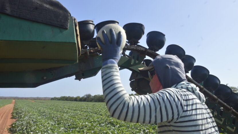 Impactos dos Conflitos Internacionais no Setor Agropecuário Brasileiro Impactos dos Conflitos Internacionais no Setor Agropecuário Brasileiro