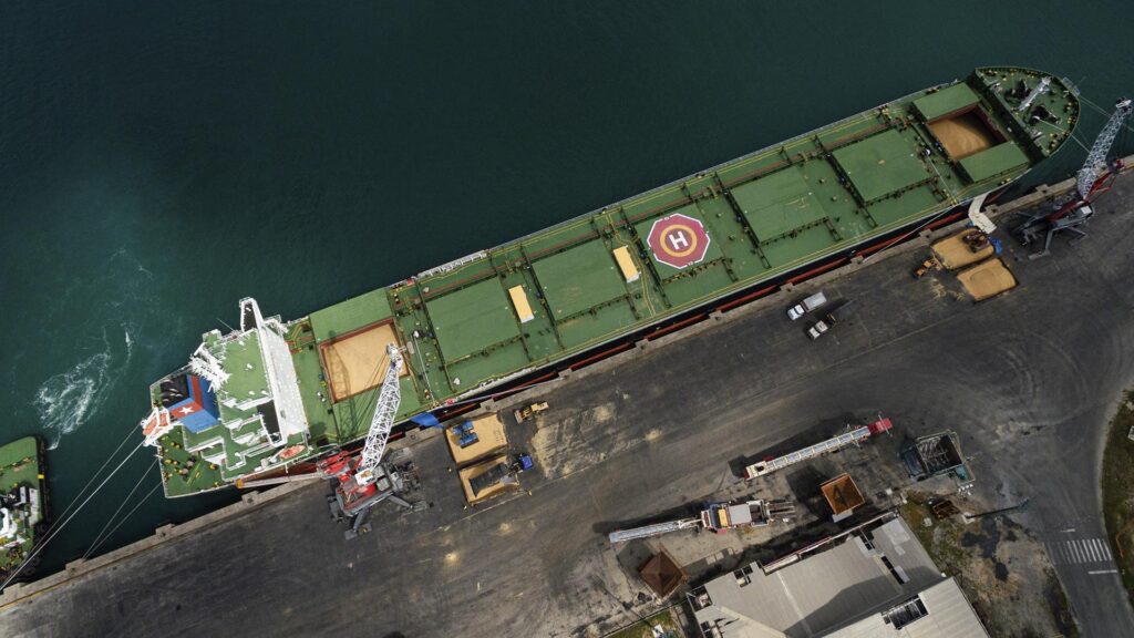 Ministério da Agricultura Atualiza Regras de Inspeção da Soja e Atende Demandas do Setor