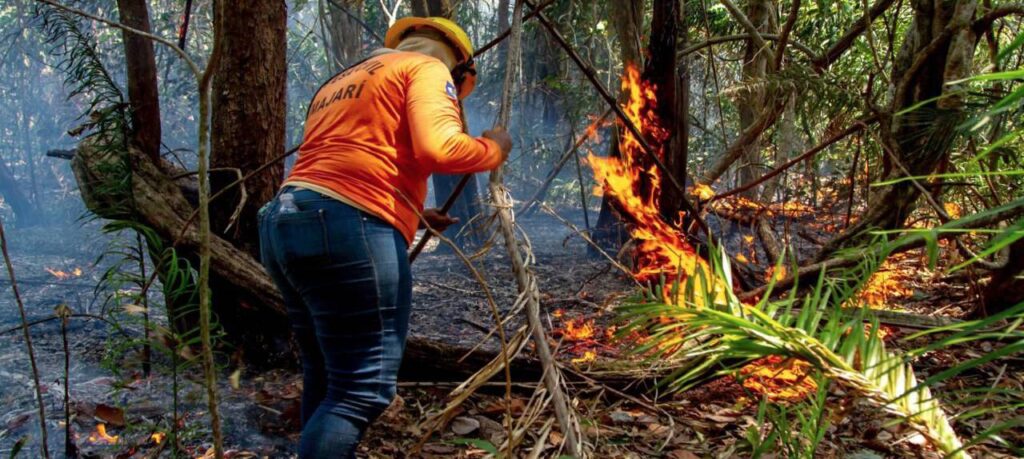 Política Estadual de Segurança Contra Incêndios é Aprovada na Assembleia de Roraima