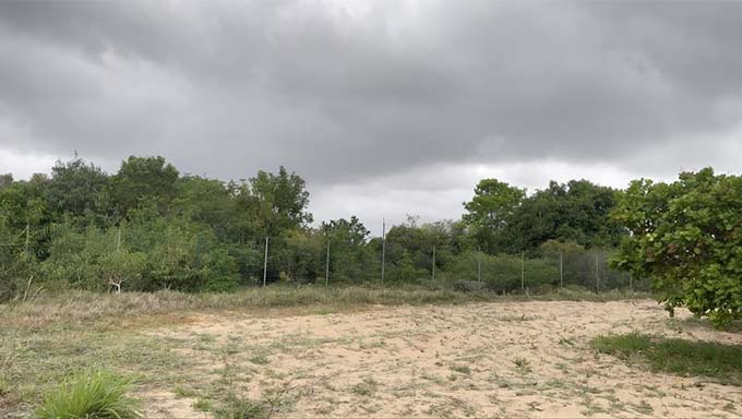 Previsão da EMPARN: Chuvas Normais no RN para Março a Maio de 2024 Previsão da EMPARN: Chuvas Normais no RN para Março a Maio de 2024