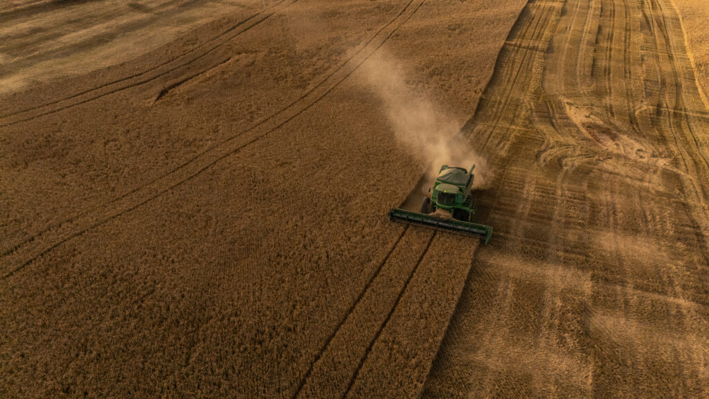 Produção de Cevada no Brasil: Crescimento e Desafios no Setor Cerealeiro Produção de Cevada no Brasil: Crescimento e Desafios no Setor Cerealeiro