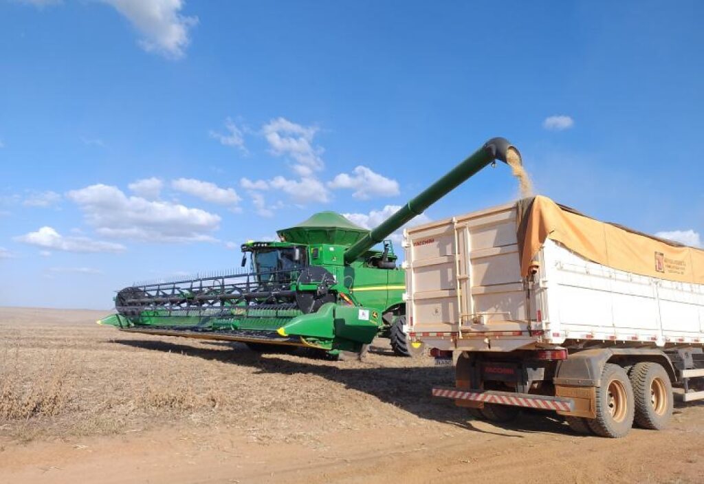 Queda de 46% no Crédito Rural em Mato Grosso do Sul: O Que Isso Significa?