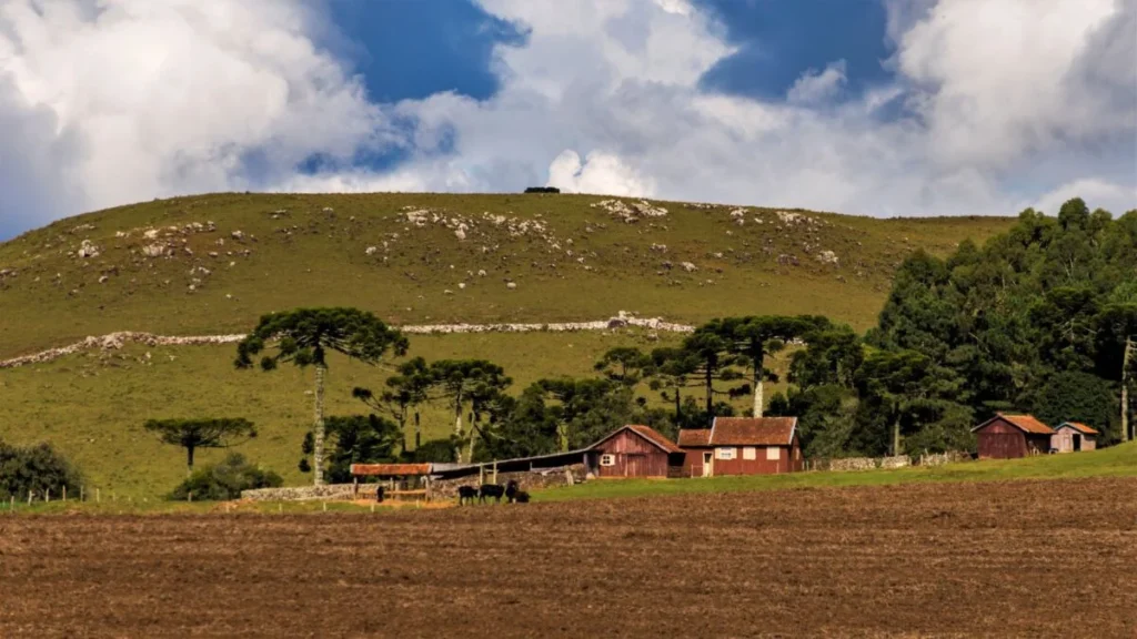 Abuso Patrimonial no Agronegócio: O Crime Silencioso que Destrói Famílias e Fazendas