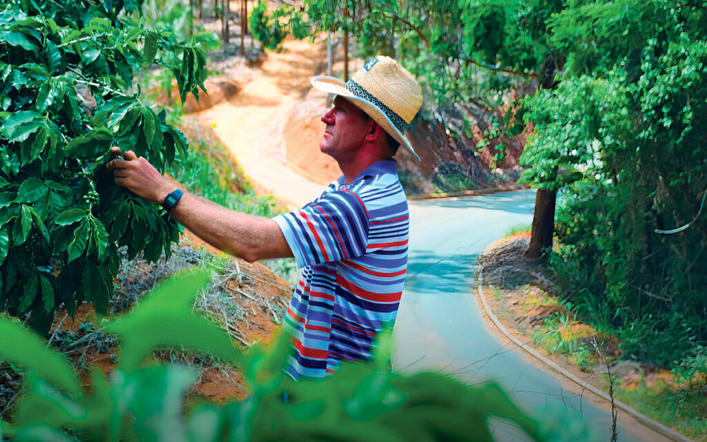 Agronegócio Capixaba: Pilar da Economia do Estado e Destaque Nacional