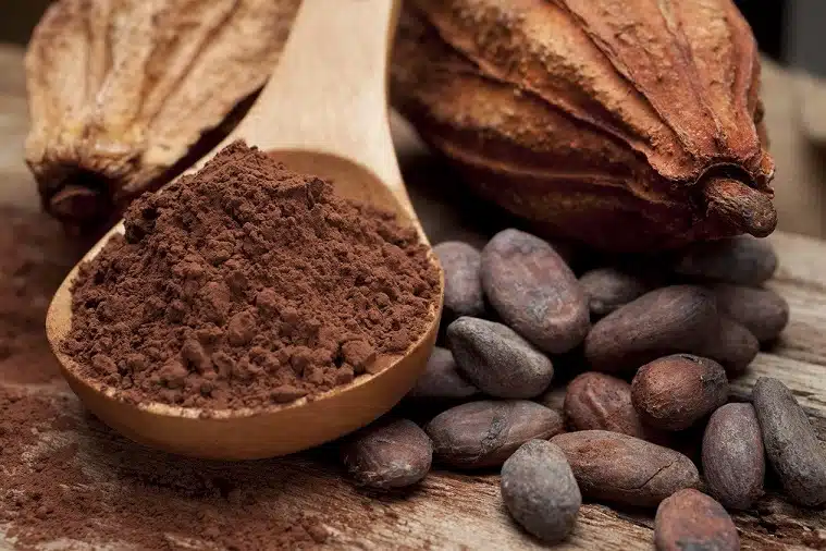 Aprenda a Produzir Chocolate: Senar Lança Guia Completo para Cacauicultores Aprenda a Produzir Chocolate: Senar Lança Guia Completo para Cacauicultores