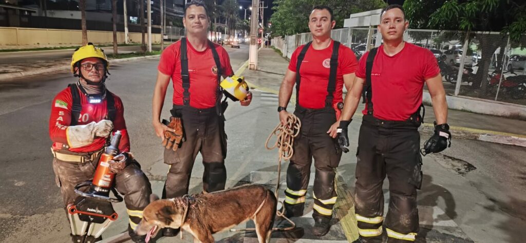Bombeiros Salvam Cachorro Preso em Rede de Esgoto em Mossoró