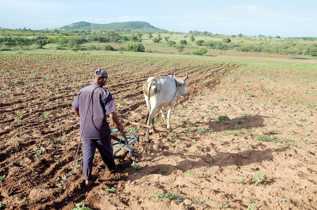 Fevereiro de 2026: RN Registra 2º Pior Desempenho em Geração de Empregos no Brasil Fevereiro de 2026: RN Registra 2º Pior Desempenho em Geração de Empregos no Brasil