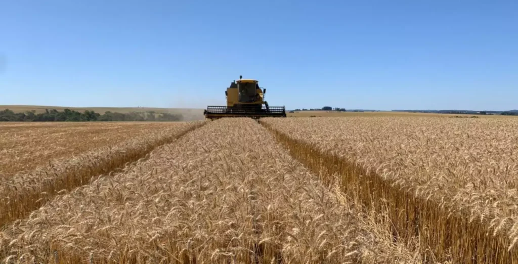 Guerra Geopolítica Impacta o Agronegócio Global, Brasil se Destaca Frente aos EUA