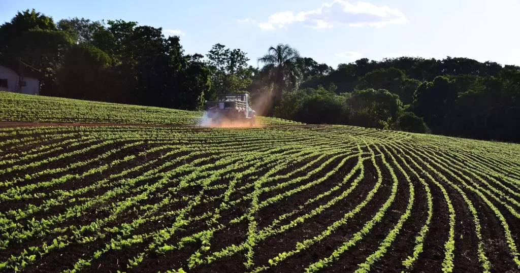 Impactos da Instabilidade no Irã no Agronegócio Brasileiro: O Perigo à Vista