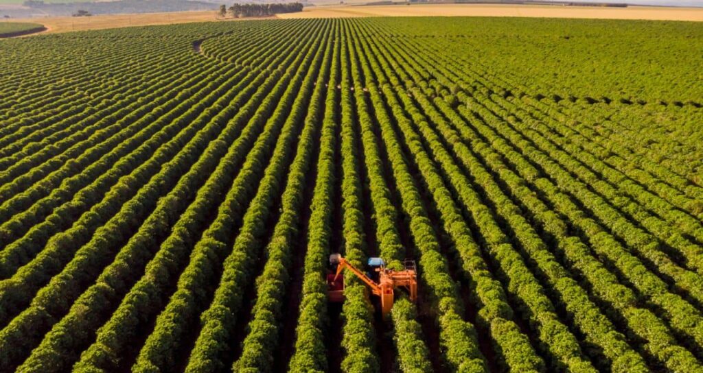 Inadimplência no Agronegócio do Banco do Brasil deve Aumentar, Afirma BTG; CEO Aponta Mudança em 202
