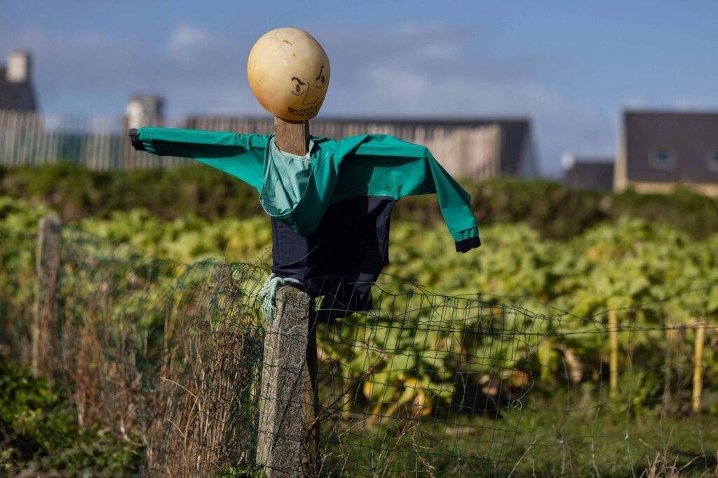 Os Espantalhos no Debate da Política Econômica Brasileira: Uma Análise Atualizada Os Espantalhos no Debate da Política Econômica Brasileira: Uma Análise Atualizada
