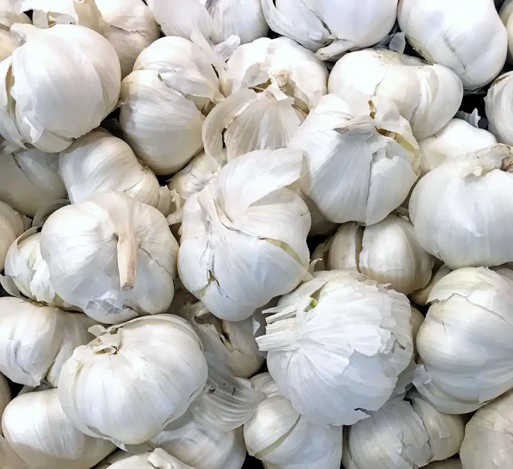 Produção de Alho no Brasil: Queda Ameaçada pela Concorrência Internacional