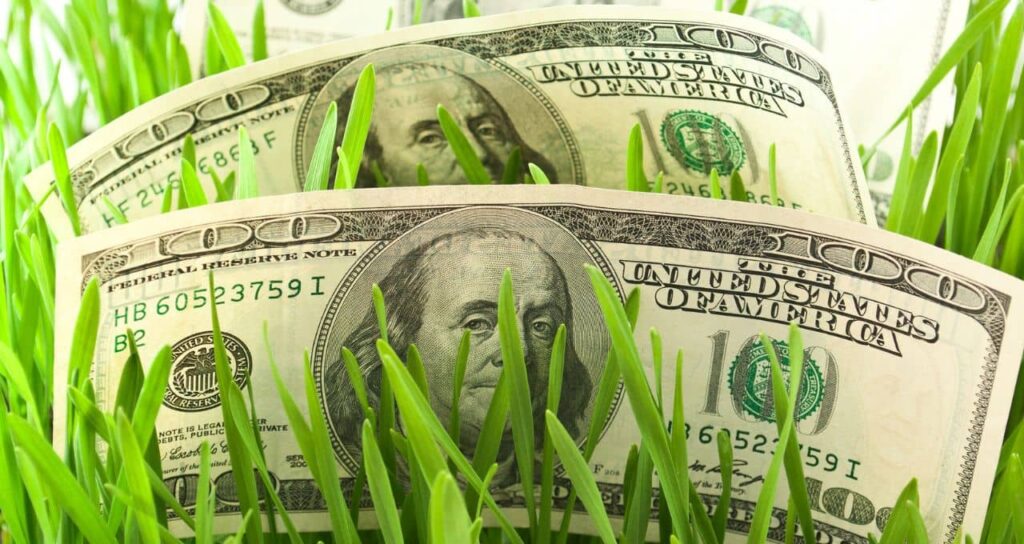 Recuperações Judiciais no Agronegócio: Uma Solução Temporária em 2026