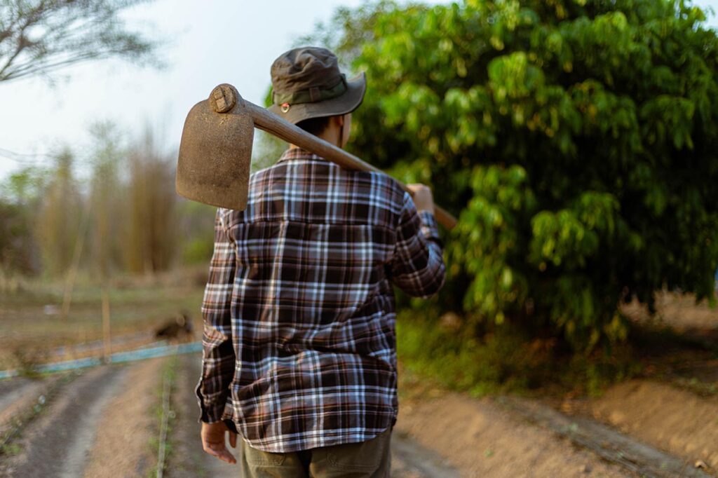 Agronegócio: um gigante na geração de empregos com 28,4 milhões de trabalhadores em 2025