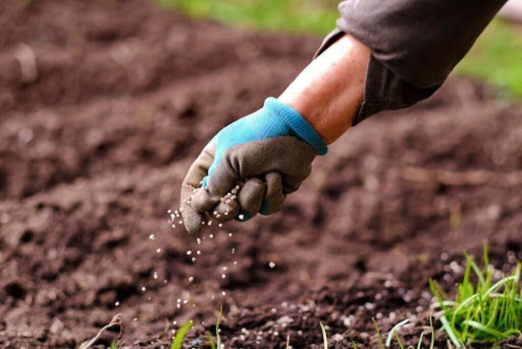 Conflito no Irã Eleva Preço dos Fertilizantes e Impacta o Agronegócio Brasileiro