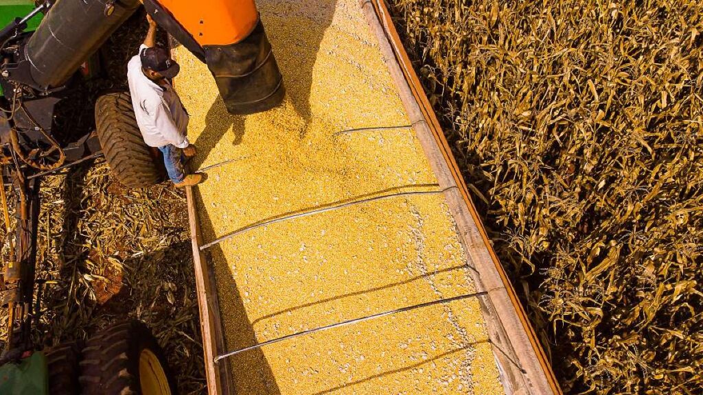 Mato Grosso: O Gigante do Agronegócio com Previsão de R$ 206 Bilhões em 2026