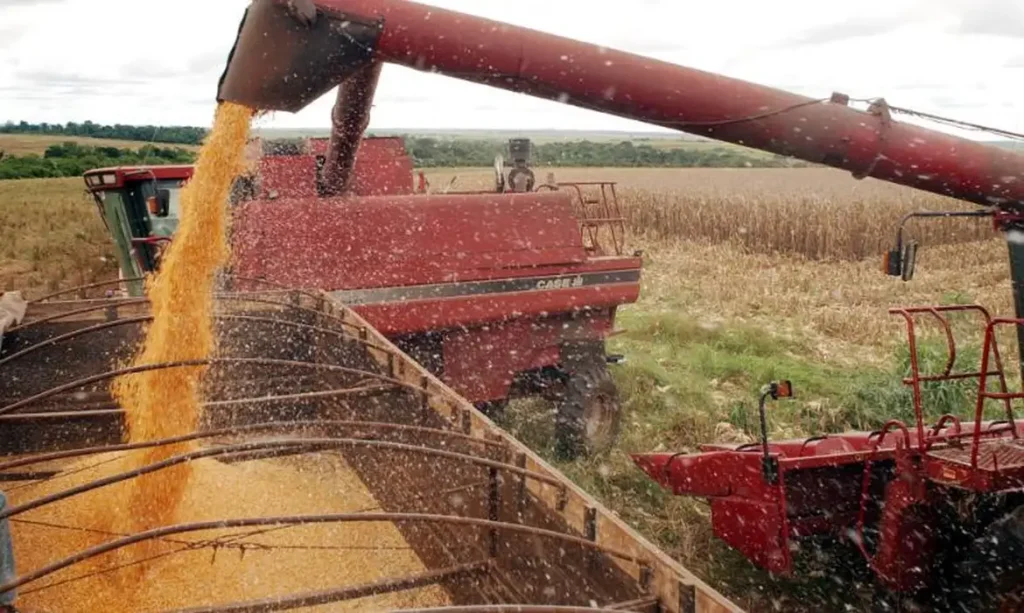 Recuperação do Agronegócio: A Nova Era do Crédito e Suas Implicações