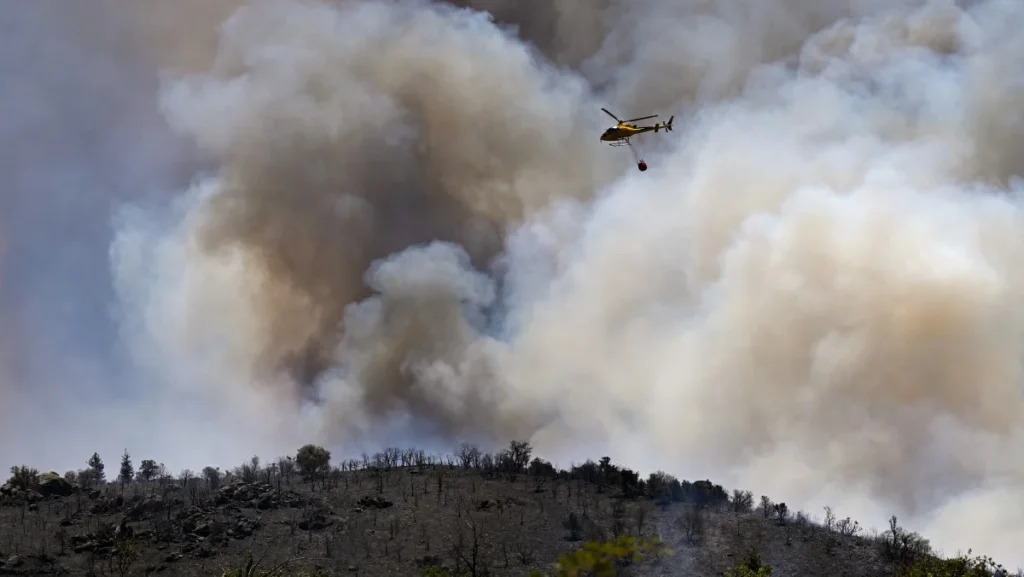 Incêndios Florestais Devastam 17 Mil Hectares na Europa em Meio a Calor Extremo